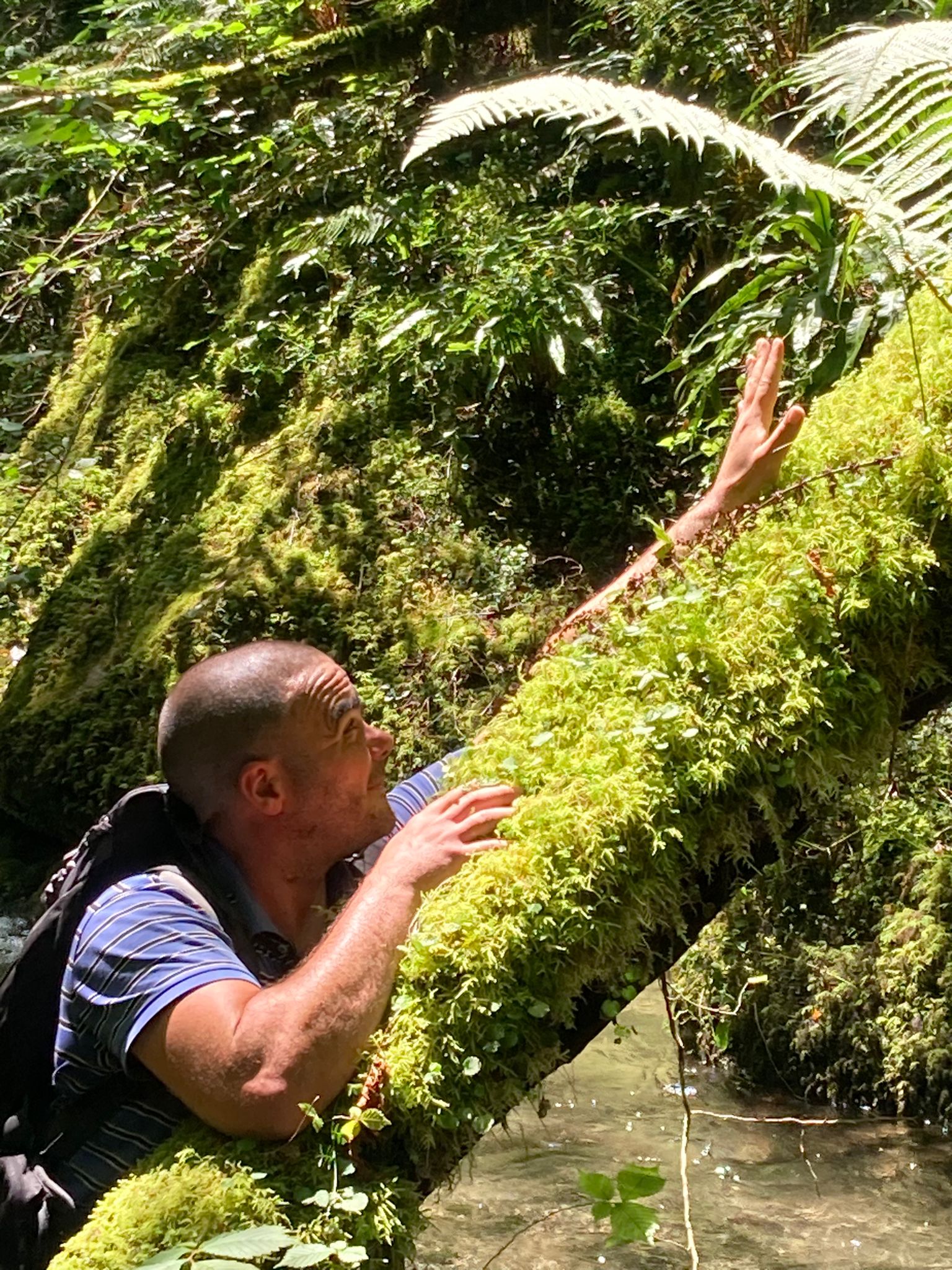 Profil de Mohamed-el, 41 ans, Trans à Wirtgensmühle