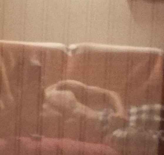 Profil de Aldin, 23 ans, Trans à Maulusmühle